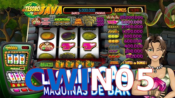 CWIN05