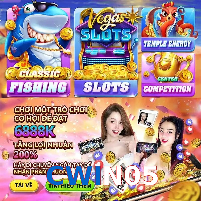 CWIN05