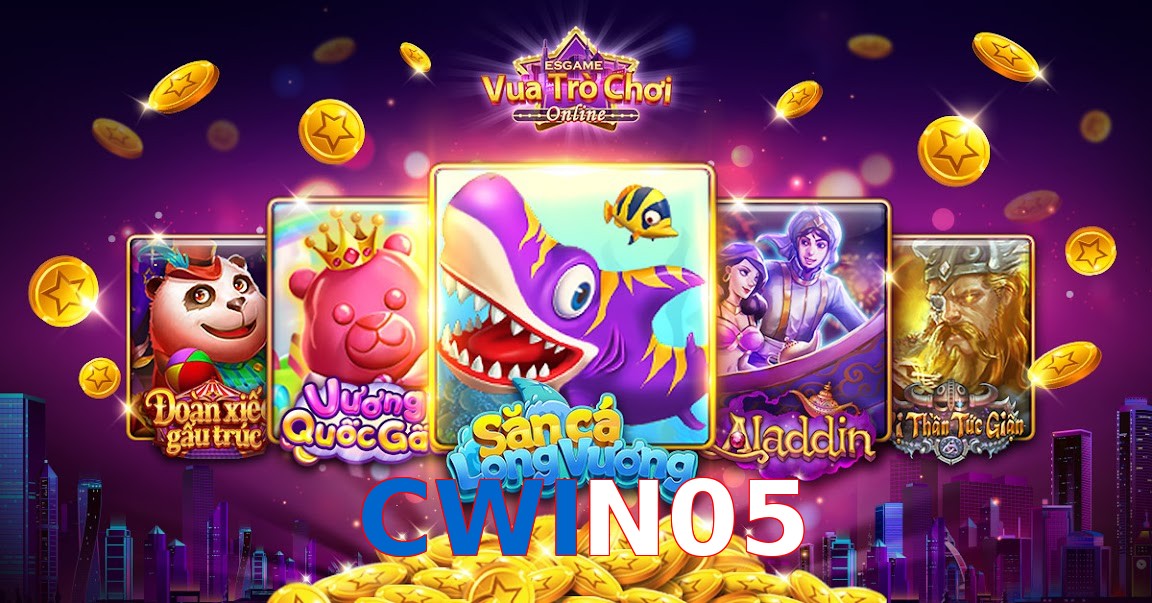 CWIN05