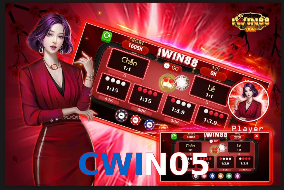 CWIN05