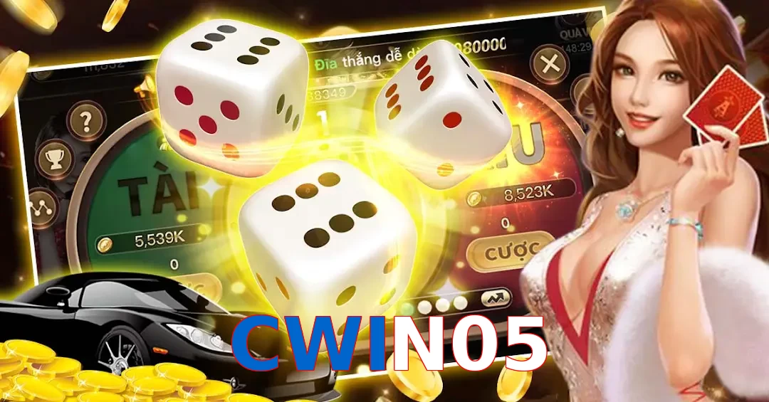 CWIN05