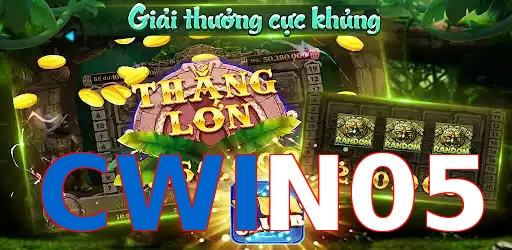 CWIN05