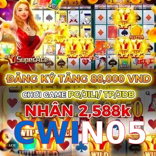 CWIN05