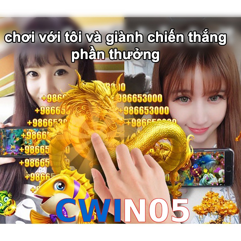 CWIN05